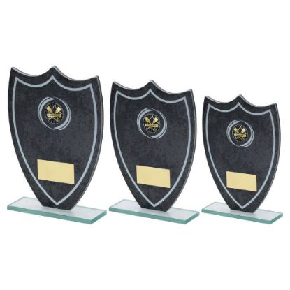 Picture of Stone Effect Glass Shield With Vinyl Rowing Insert And Plate