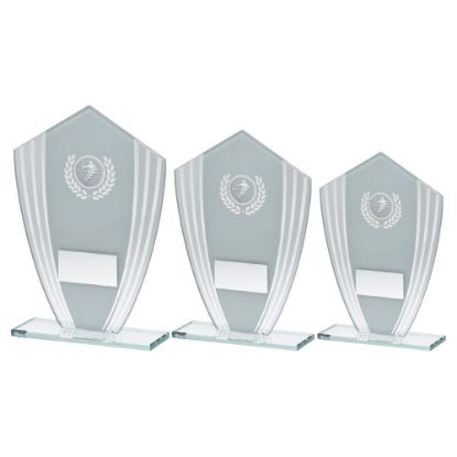 Picture of White~silver Glass Shield Plaque With Rugby Insert & Plate