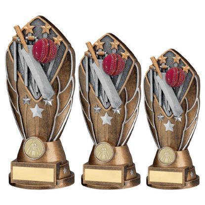 Picture of Bz~silv Diamond Column + Cricket Disc & Plate (1in Cen)