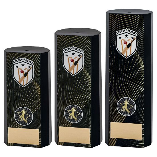 Trophy Distributors - Black Plastic Filled Column Cricket (1in Cen) - 8 ...