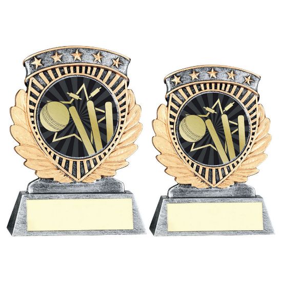 Trophy Distributors - Pew|gold 5 Star Holder With Vinyl Cricket Insert ...