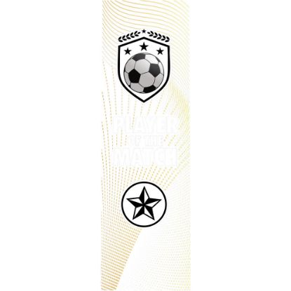 Picture of Football Player Of The Match Clear Printed Rectangle For Fp35