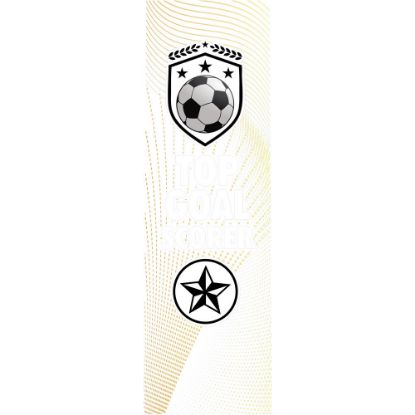 Picture of Football Top Goal Scorer Clear Printed Rectangle For Fp35