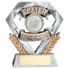 Picture of Pew|gold Player Of The Match Mini Diamond     (1in Centre) - 4in