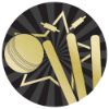 Picture of Cricket Gold|black Printed Centre 25mm - 1in