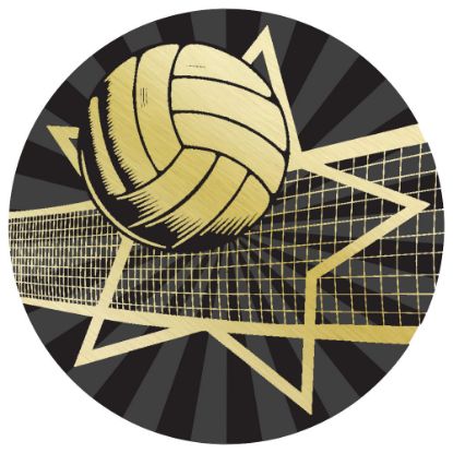 Picture of Volleyball Gold~black Printed Centre 25mm