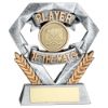Picture of Pew|gold Player Of The Match Mini Diamond With Hockey Insert & Plate - 4in