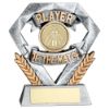 Picture of Pew|gold Player Of The Match Mini Diamond With Cricket Insert & Plate - 4in