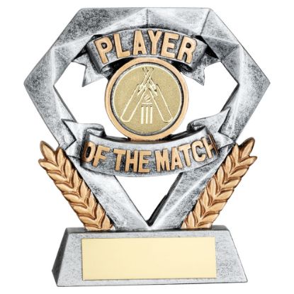 Picture of Pew~gold Player Of The Match Mini Diamond With Cricket Insert & Plate
