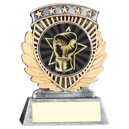 Picture of Pew~gold 5 Star Holder With Vinyl Boxing Insert & Plate