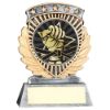 Picture of Pew|gold 5 Star Holder With Vinyl Martial Arts Insert & Plate - 3.75in