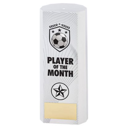 Picture of White Plastic Filled Column Football Player Of The Month (1in Cen)