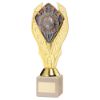 Picture of Gold Holder + Manager's Player Disc & Cream Marble Trophy (1in Cen) - 10in