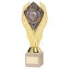Picture of Gold Holder + Player Of The Month Disc & Cream Marble Trophy (1in Cen) - 9in