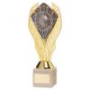 Picture of Gold Holder + Top Goal Scorer Disc & Cream Marble Trophy (1in Cen) - 9in
