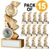 Picture of Pack Of 15 Gold|silv Football Multi Star Trophy With Plates (1in Cen) - 5in